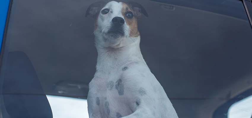 Car Lockout Solutions in Aliso Viejo, California